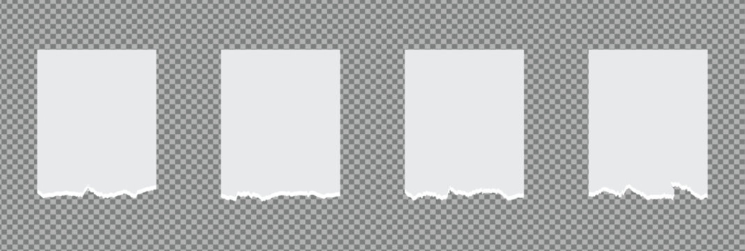 Collection of torn, ripped pieces of white color paper. rip torn paper textures overlay effect for digital art.