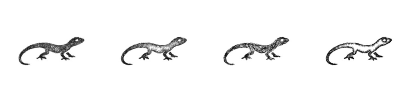 Sketch monochrome lizard logo design set