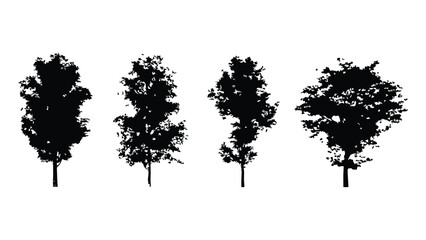 Fototapeta premium Realistic black tree silhouettes vector collection for landscape design and architectural.