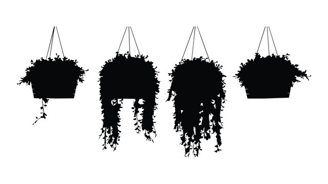 Set of four hanging basket plant silhouettes with trailing vines for interior design art.