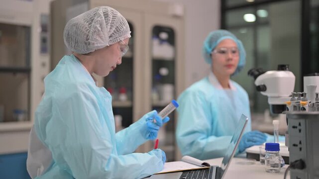 Scientists work in lab with test tubes and microscopes during research on new project