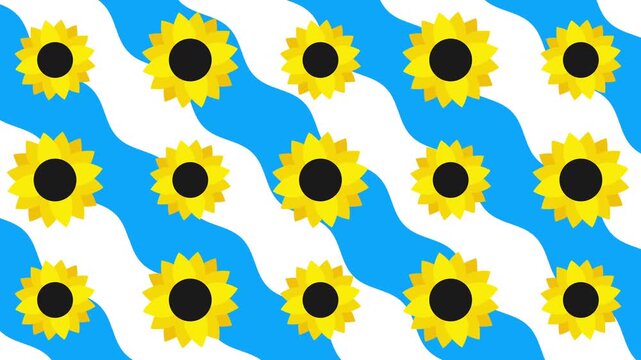 sunflowers and waves summer geometric animated background video footage motion graphics 