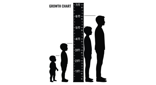 Growth chart with silhouettes of people at varying heights