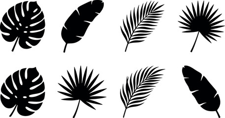 Tropical leaves silhouettes set with monstera palm banana leaf botanical shapes for summer design and jungle nature themes vector illustration © Kanon Islam