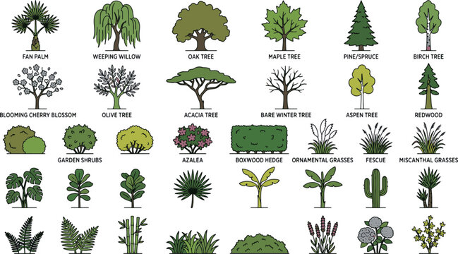 Diverse collection of botanical garden trees shrubs ornamental grasses and desert plants flat outline icons set vector illustration
