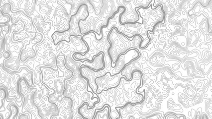 Topography background. Vector banner. Topography map background. Vector geographic contour map. Background of the topographic map. Topographic map lines, contour background.  © Mst