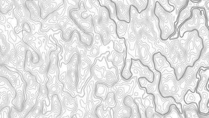 Topography background. Vector banner. Topography map background. Vector geographic contour map. Background of the topographic map. Topographic map lines, contour background.  © Mst
