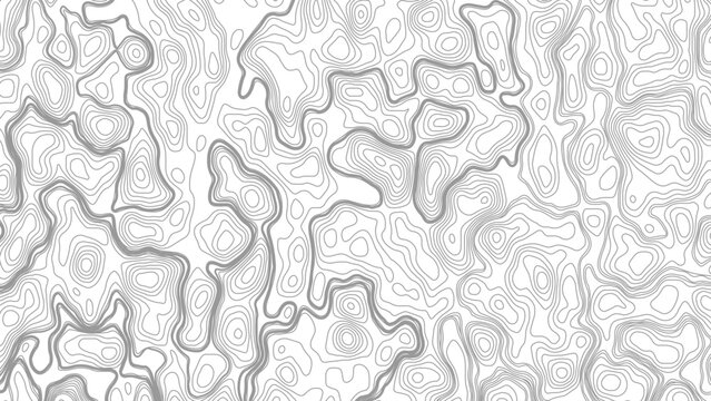 Black on white abstract perspective line wave stripes with 3d dimensional effect isolated on white.