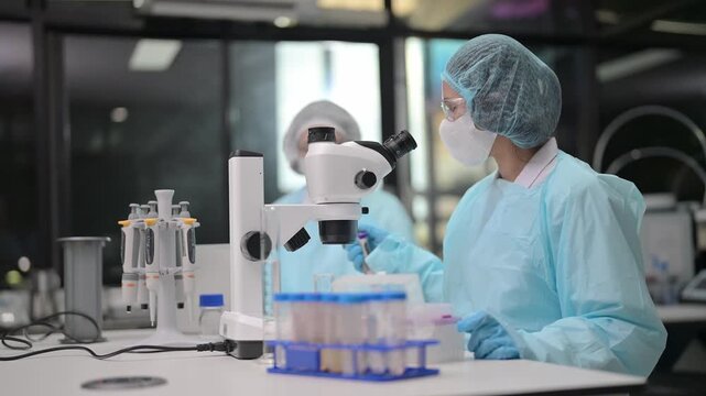 Researcher conducts experiments in a laboratory using a microscope and pipette