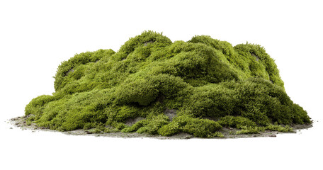 Lush green moss mound, isolated on transparent background © Design Zone