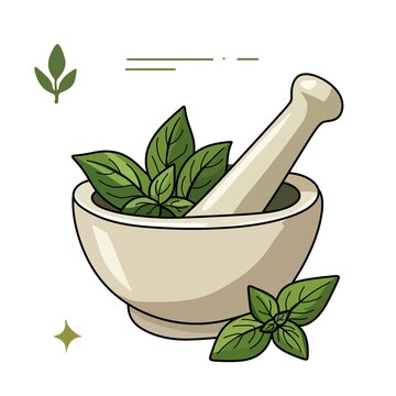 Mortar and pestle with fresh basil leaves, vector kitchen herb illustration