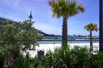 Park near ocean, palm trees © Joy Event Media
