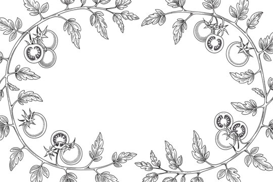 Tomato obsession with leaves and fruits on a vintage line art frame