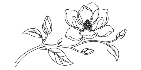 magnolia flower line art vector illustration. © Pure Outline 