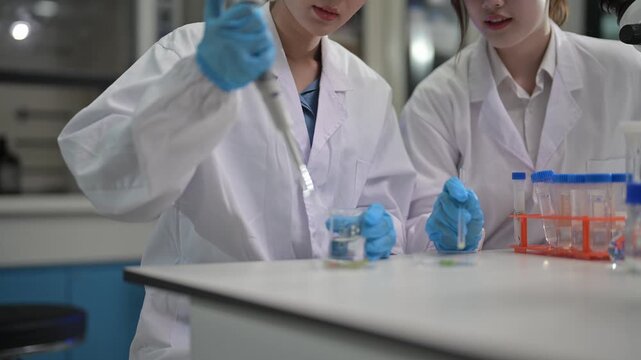 Students conduct experiments in a lab while using pipettes and analyzing samples