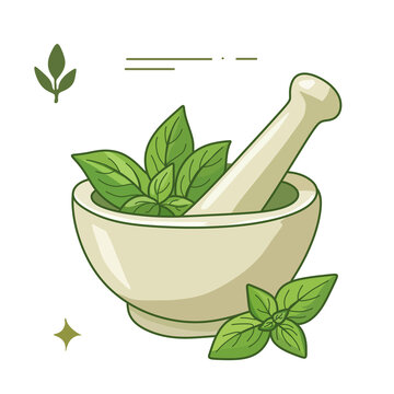 Mortar and pestle with fresh basil leaves, vector kitchen herb illustration