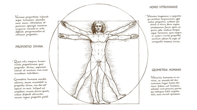 Vitruvian Man illustrates the harmonious proportions of the human body inscribed within a circle and square as a foundational study of classical anatomy.