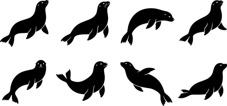 Collection of black sea lion silhouettes showing playful and swimming poses isolated on white background vector