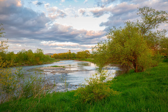 Tranquil landscape of river Mures , central Transylvania, Romania, with green trees and partly cloudy sky at golden hour in spring.