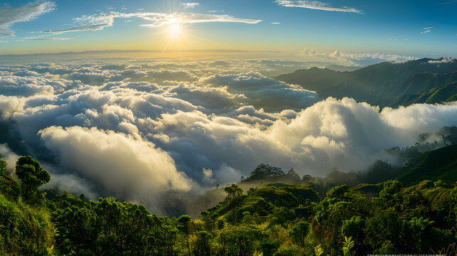 Breathtaking sunrise over a sea of clouds in the lush green mountains of Nilgiri