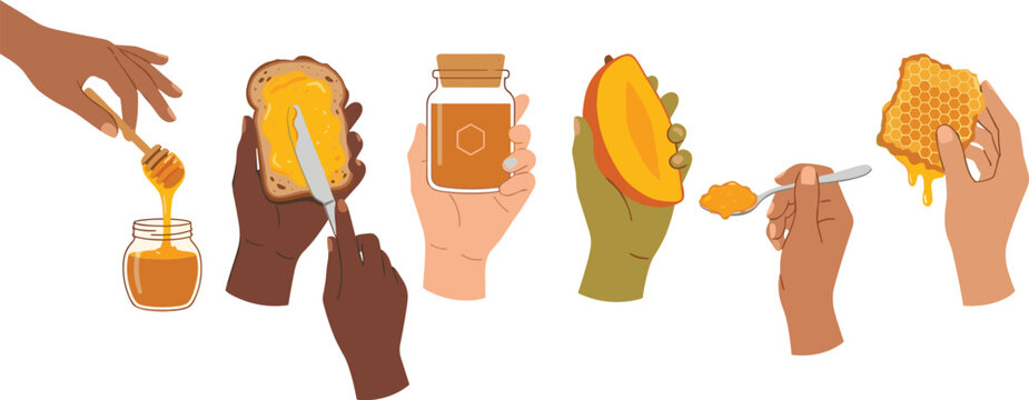 Organic Sweet Honey and Mango Jam Vector Element Set with Diverse Hands Holding Jar Dipper Toast Comb and Spoon for Breakfast Menu Designs