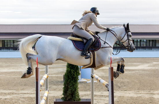 Rider on horse. Horse riding. Equestrian sport. Jockey riding jumping horse. Show jumping