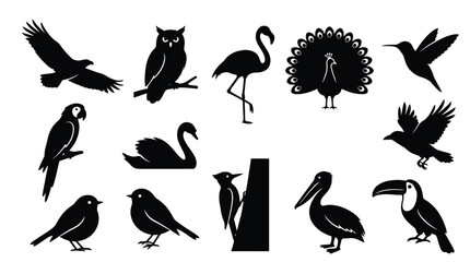 Obraz premium Bird Silhouette Set – 12 Species Black Vector Clipart Collection