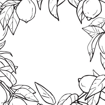 Lemon frame hand drawn sketch, black line art. Square border with lemons and leaves, citrus botanical wreath, text space vector clipart isolated on white background.