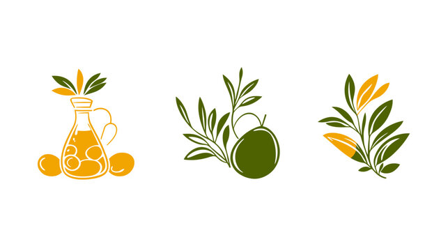 Artistic depiction with plant illustrations in three parts, oil jug, olive, and leaves