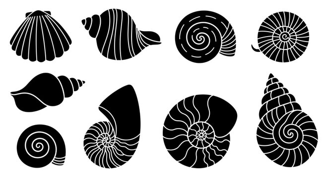 Collection of black and white seashell silhouettes isolated on white background