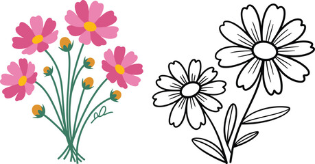 Obraz premium Cosmos flower illustrations color bouquet and black and white line art