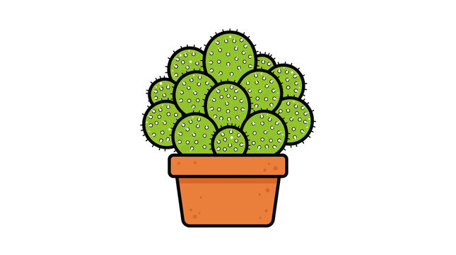 Green Succulent Plant in Pot.