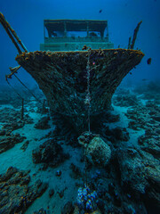Shipwreck on the reef © Mad Max