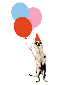 Halftone meerkat wearing party hat holding three colorful balloons. Funny element for zine collage with doodles. Celebration and birthday concept. Modern retro mixed media vector illustration isolated