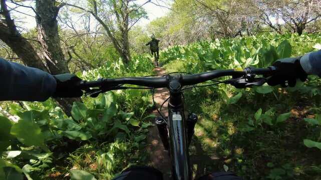 Cyclist ride bicycle at mountain trail road