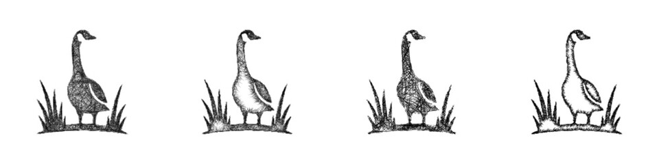 Black and white sketch goose logo design set © David Zydd