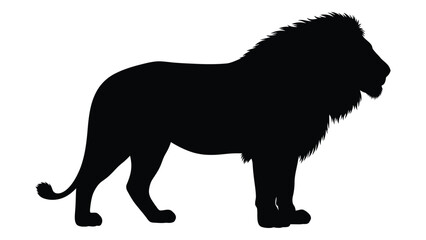 lion silhouette on white background wildlife animal feline black transparent © MDSAEEM