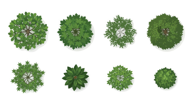 Top view of a set of 8 deciduous trees and bushes for architectural landscape design with various leafy green foliage
