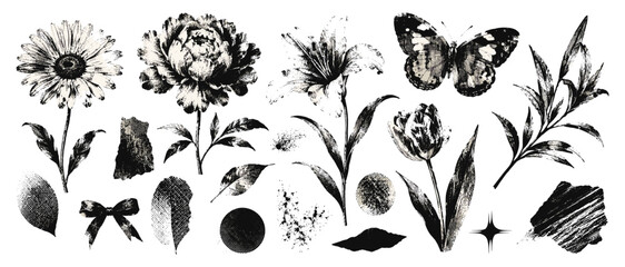 Butterfly flower photocopy retro collage set with daisy peony lily, halftone grain, y2k grunge botanical shapes and vector illustration © aura studio