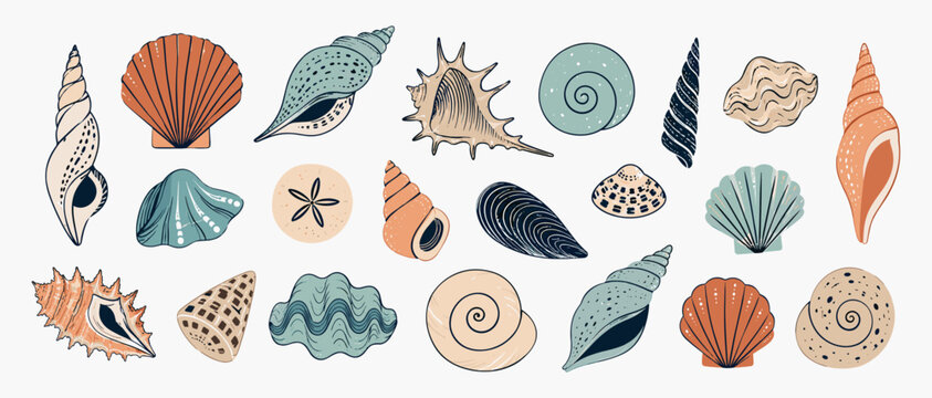 Hand drawn seashell set in modern outline style with spiral shells, coastal beach elements and ocean vacation icons isolated as trendy vector design