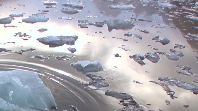 Countless ice fragments drift serenely across the vast Arctic waters, remnants of a majestic glacier. Sunlight paints shimmering reflections on the tranquil surface as the icy pieces slowly melt.