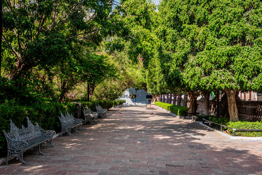 garden in park in aguascalientes mexico 