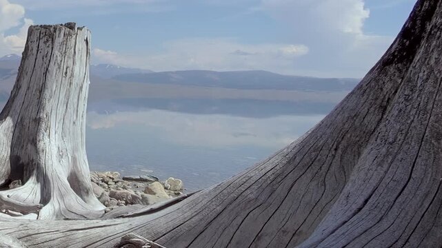 Ancient weathered wood anchors a peaceful view of Lake Khuvsgul in Mongolia. Distant mountains perfectly mirror on the calm water under a soft, cloudy sky. A serene natural tableau.