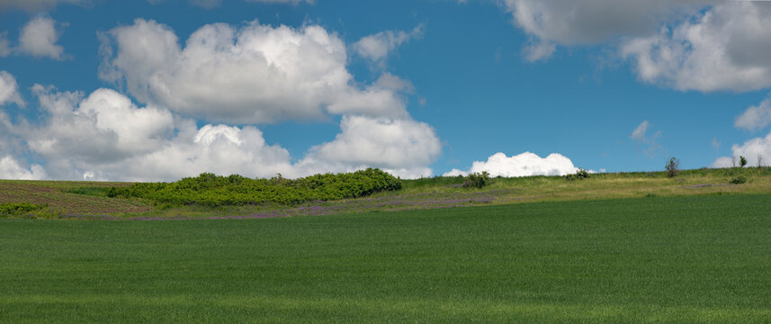 The boundary between virgin and arable lands. A laconic field landscape. A panorama of a vast horizon of agricultural lands.