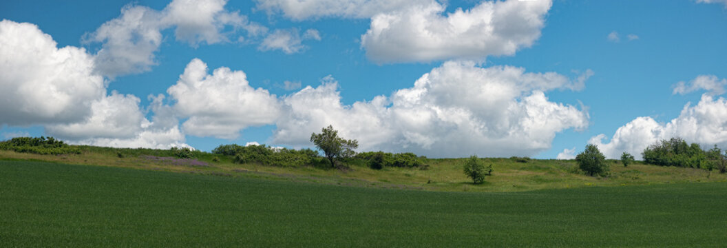 The boundary between virgin and arable lands. A laconic field landscape. A panorama of a vast horizon of agricultural lands.
