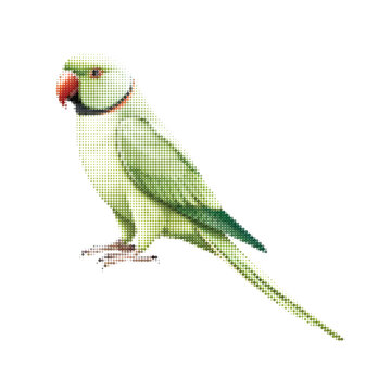beautiful wild tropical green parrot flying bird character halftone illustration graphic design element vector pack set bundle