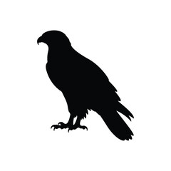 Fototapeta premium Hawk silhouette vector flat illustration design.