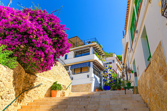 Alicante old town Santa Cruz neighborhood with Calle San Rafael narrow street steep stairs, typical white houses, traditional colorful buildings with plants in Alicante city historic centre, Spain