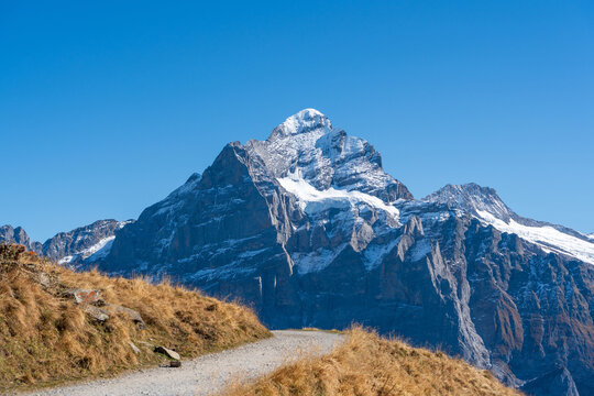 Winding gravel hiking trail crossing autumn alpine meadow towards majestic snow peaks. Grindelwald First, Switzerland.