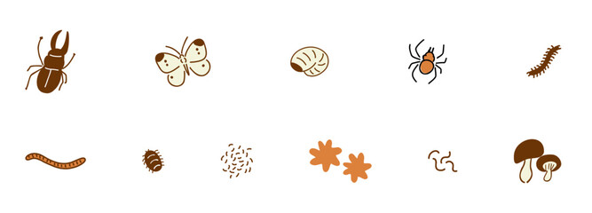 insects & soil organisms_ecosystem, soil environment, ecological pyramid_Color｜生きものいろいろ_昆虫＆土中の生物_生態系,土中環境,生態系ピラミッド_カラー © andgraph